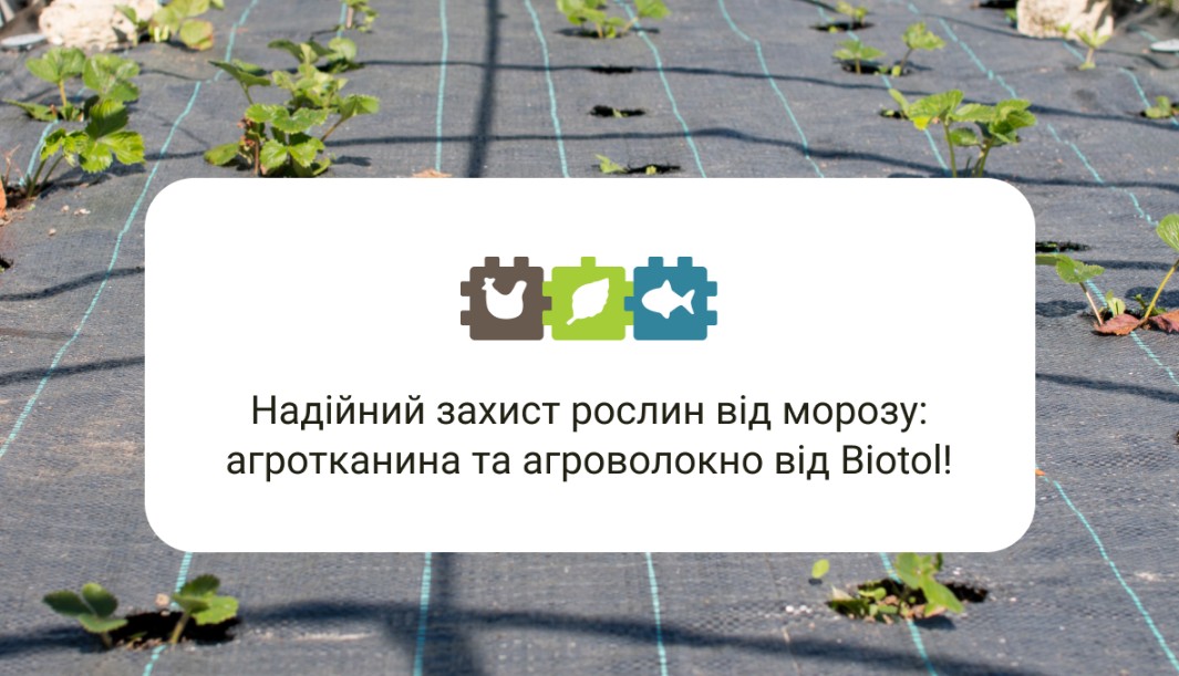 Як підготувати рослини до зими